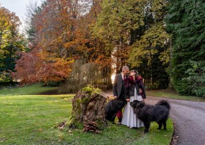 Design Your Collection Forest of Dean Wedding Photography, Jo Edginton Photography